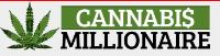 Cannabis Millionaire image 1